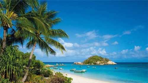 天津18道褶包子