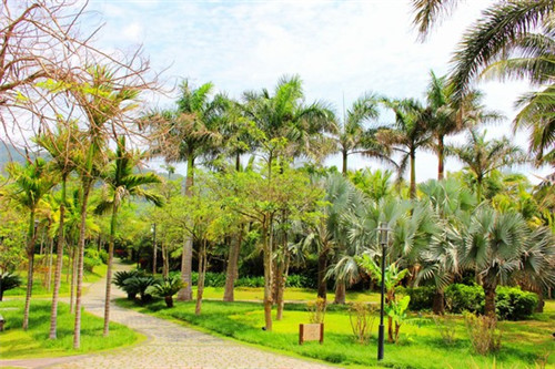 餐饮人物ip怎么设计好