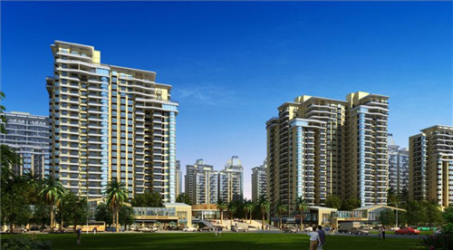 揭秘鸡爪加盟费用大揭秘——让您轻松掌握投资成本与回报分析！