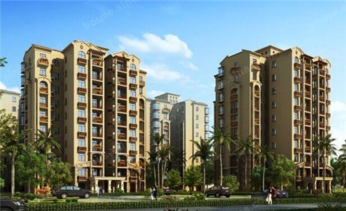 五叶茶奶茶知名度如何