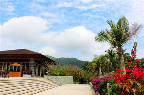 鸡翅木茶盘加盟店需要注意哪些事项，鸡翅木茶盘茶具价格图片大全