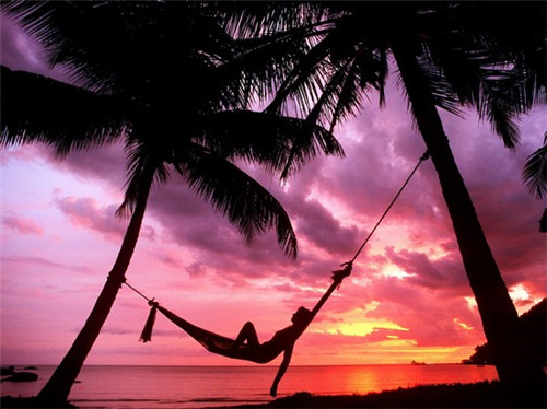 魏葆华吴正丹现今得状况（魏保桐简介）