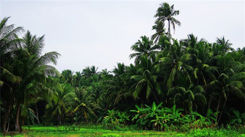 装修砸墙使用什么工具（砸墙必备工具）