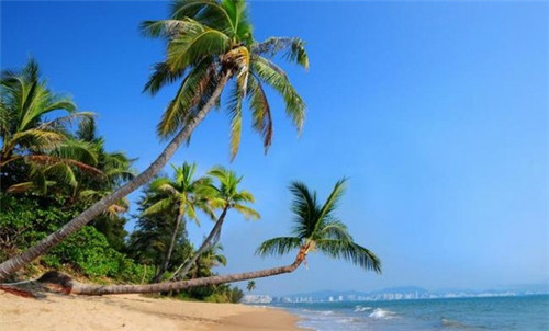 智能烤箱加盟投资开店哪些品牌受欢迎，智能烤箱怎么用啊图解